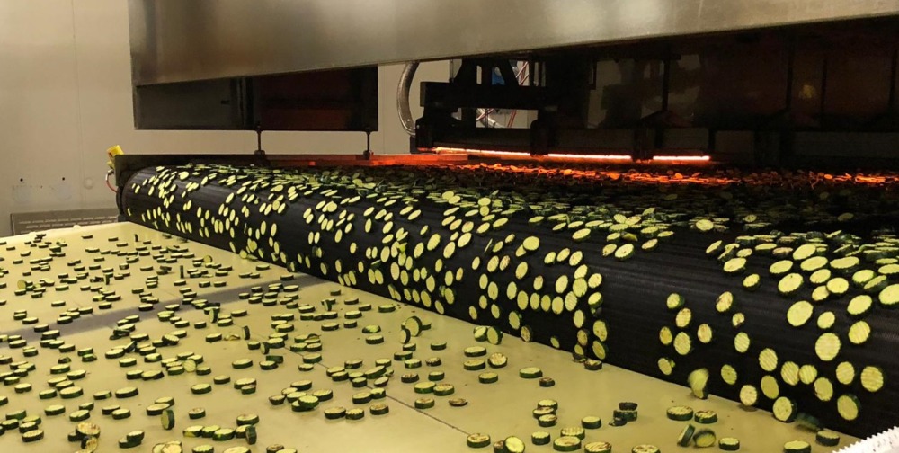 Bruciatori prodotti alimentari, forni industriale zucchine verdure cottura perfetta